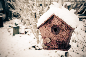 Birdhouse in the snow