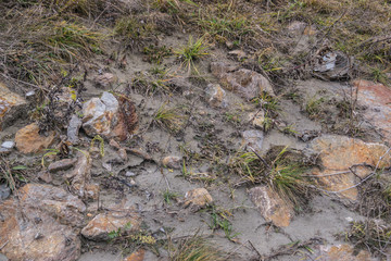 Böschung mit Felsen