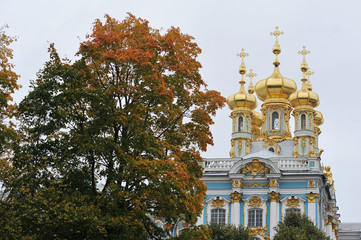view of the Golden bathed Catherine's Cathedral in Pushkin autumn leaves on the trees