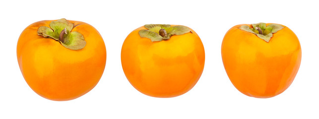 persimmon