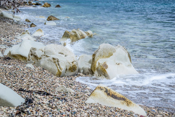 Fototapeta premium untidy wild beach