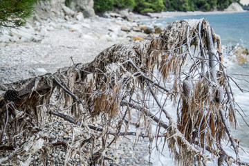Fototapeta premium the beach after the storm