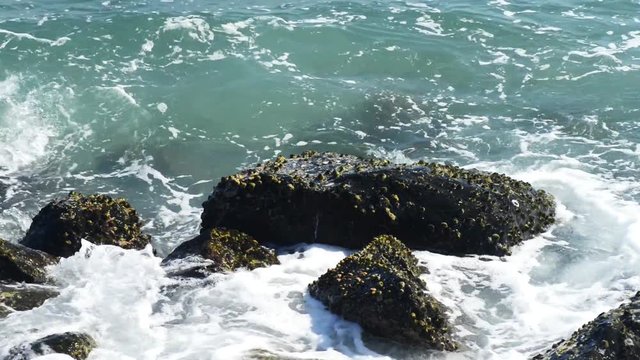 A huge wave hits the rocks. Waves hitting rocks on a tropical beach forming a splash shape. Powerful Waves on a rocky beach.