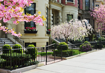 Spring in Back Bay, Boston