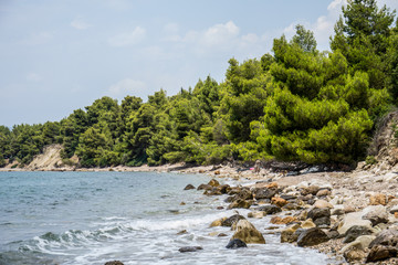 Fototapeta premium untidy wild beach