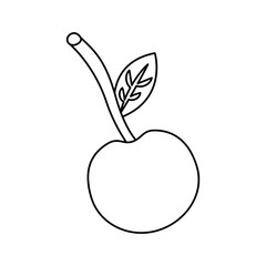 cherry fruit icon image vector illustration design