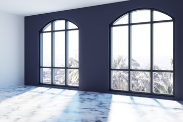 Empty blue walls room with large windows