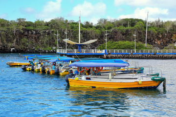 Water taxis anchored at Puerto Ayora on Santa Cruz Island, Galapagos National Park, Ecuador