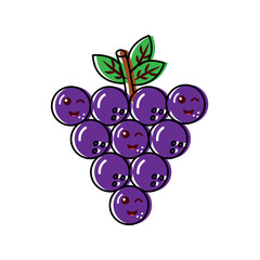 grapes happy,fruit kawaii icon image vector illustration design 