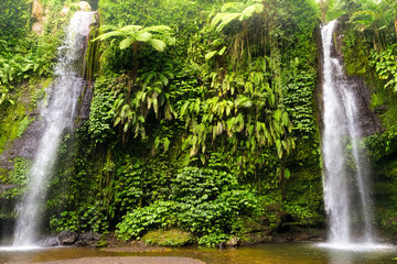 twings of waterfall in bali. indonesia