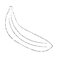 banana fruit icon image vector illustration design sketch line