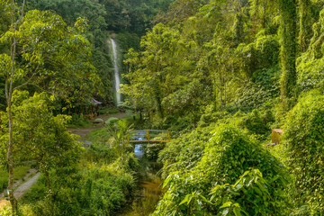 little waterfall in garden of eden in bali indonesia - obrazy, fototapety, plakaty
