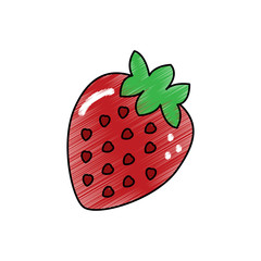 strawberry fruit delicious vitamins nutrition food vector illustration