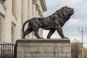 Statue of the Lion of the Palace Of Justice in city of Sofia, Bulgaria