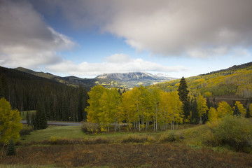 Fall Autumn colors with clouds above in Kebler Pass, near Crested Butte, Colorado United States of America in the Autumn Fall