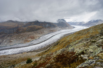 Aletsch glacier - Wallis, Switzerland