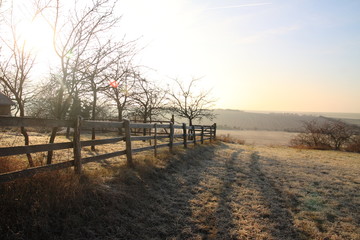 Zaun an frostigenm Morgen