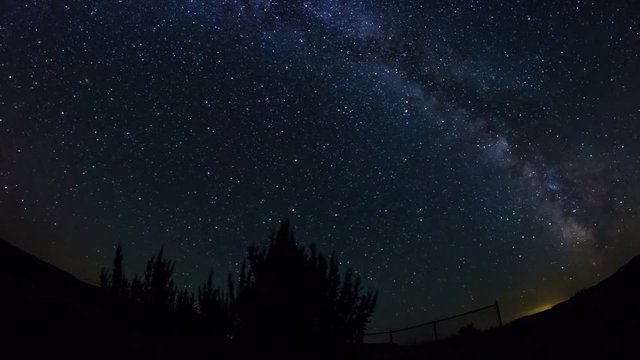 Milky way in the night sky with plants silhouette