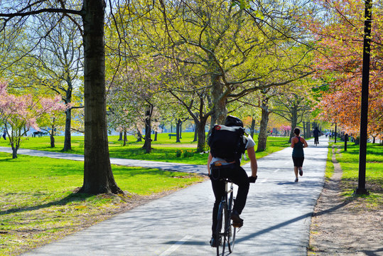 Spring In Boston Esplanade