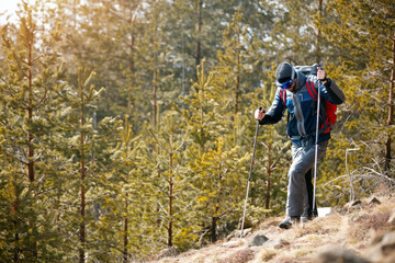 Active man hiking in forest mountains