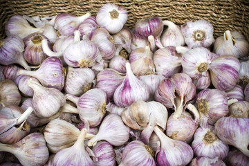 Penticton Organic Farmer's Market Okanagan Valley