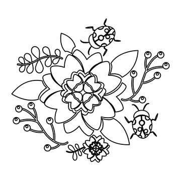 flowers and ladybugs icon image vector illustration design  black line black line