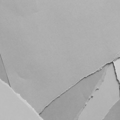 Gray ripped paper texture background. copy space