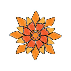 single flower topview con image vector illustration design  sketch style