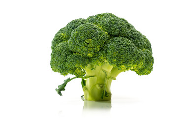 Fresh Broccoli, Tree Look, Studio Shot on White Background