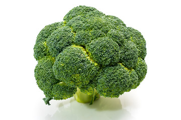 Fresh Broccoli, Upper Angle Tree Look, on White Background