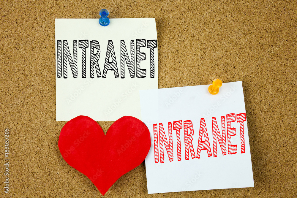 Poster conceptual hand writing text caption inspiration showing intranet word cloud concept for internet ne