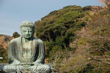 Great Buddha - Daibutsu - at Kotoku-in temple, one of the largest bronze Buddha in Japan, Kamakura city