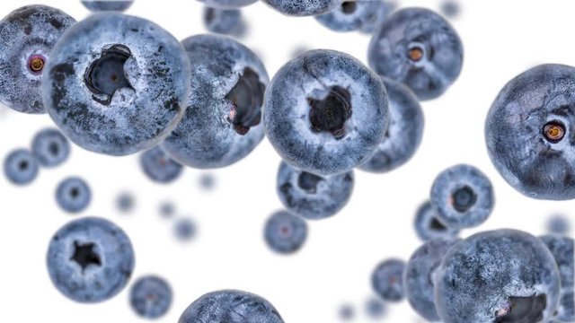 Blueberries falling down on white background (45 degrees, seamless loopable) with alpha mask in black and white from 0:30 in 4K UHD footage