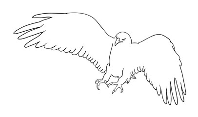 Fototapeta premium Eagle line art 06. Good use for symbol, logo, web icon, mascot, coloring book, tattoo, sign, or any design you want.