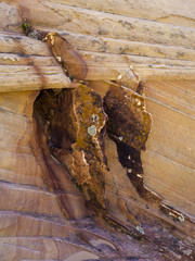 South Coyote Buttes