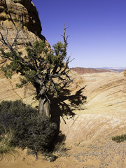 South Coyote Buttes