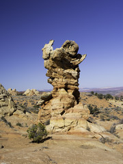 South Coyote Buttes
