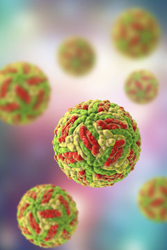 Powassan virus particles, computer illustration. This virus is a human pathogen that is transmitted by ticks. It has only been found in North America and east Russia. It can cause fever, vomiting and encephalitis (inflammation of the brain). Around 10% of cases are fatal.