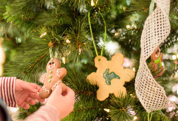 Child decorating Christmas tree with homemade gingerbread man cookies at Christmastime