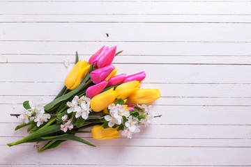 Bunch of bright yellow and pink spring tulips and apple tree flowers