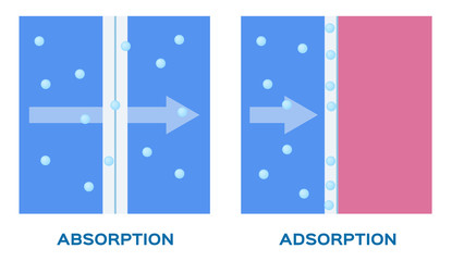 absorption and adsorption vector icon