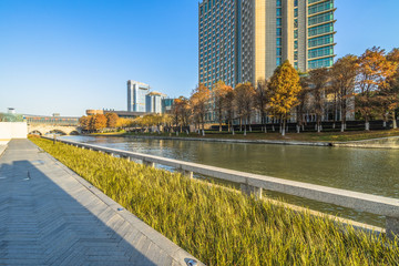 Obraz premium beautiful park at a sunny day, shanghai, china.