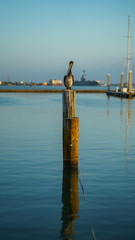 One grand soldier still on post