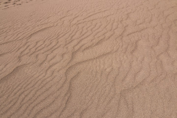 Dune waves