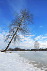 Springtime.Sunny landscape with trees growing on the bank of frozen pond.Melting snow and ice.