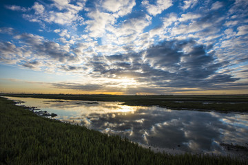 Rye Marshes, East Sussex
