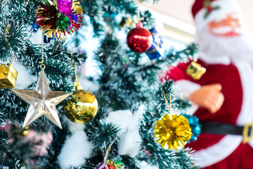 Christmas,Pine trees decorate for Christmas,The back is santa cross.