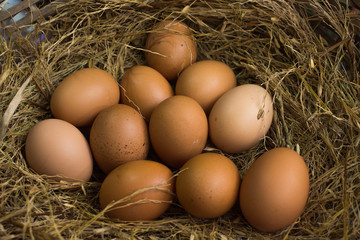 Eggs