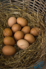 Eggs