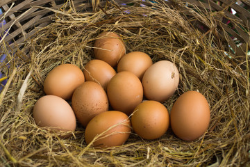 Eggs
